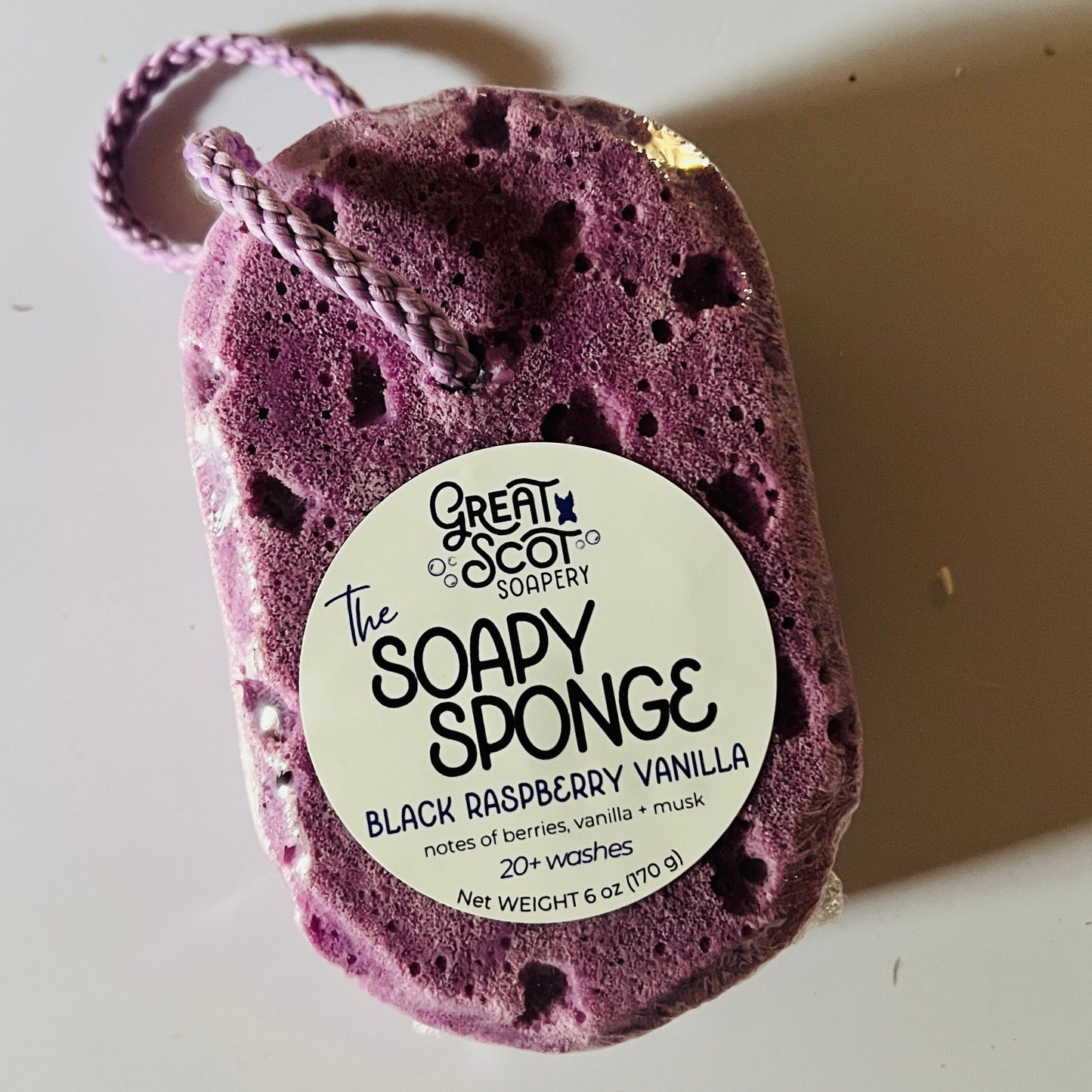 The Soapy Sponge