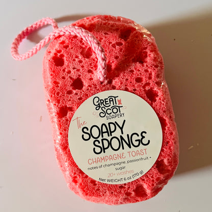 The Soapy Sponge