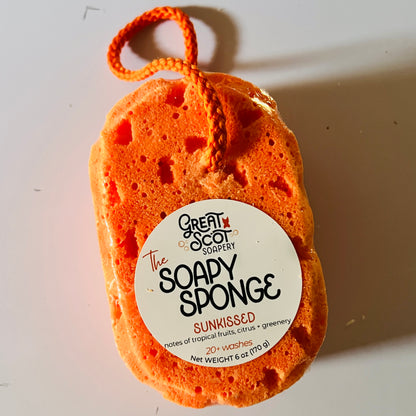 The Soapy Sponge