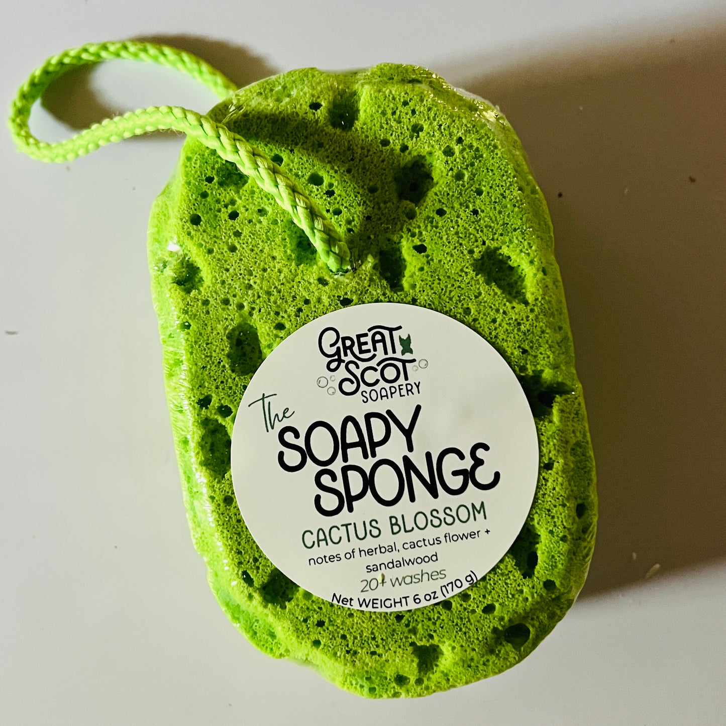 The Soapy Sponge
