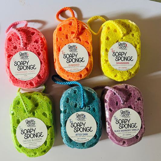 The Soapy Sponge