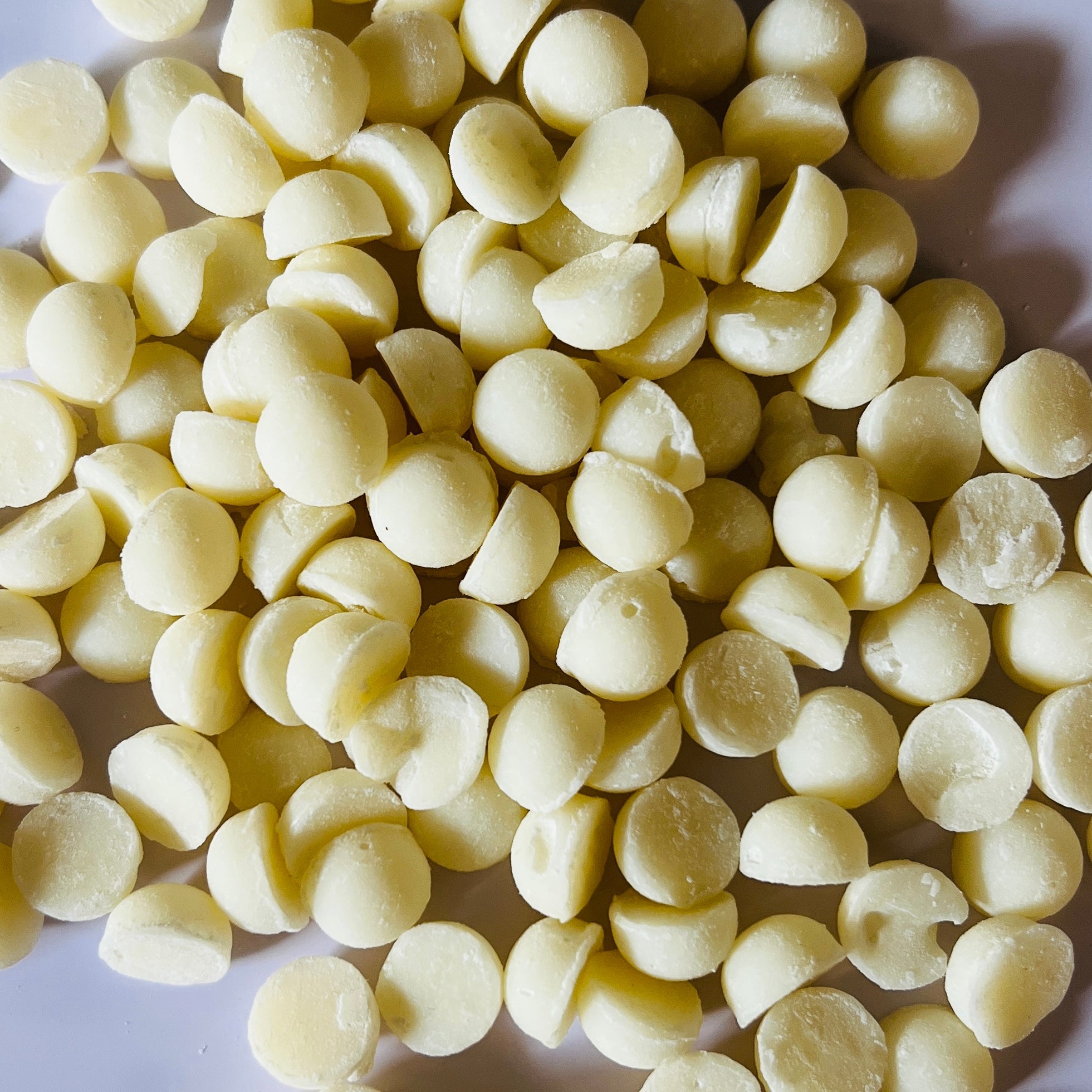 Soft Top Lotion Dots - Greatscotsoapery